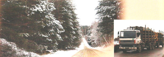 Construcciones con Madera